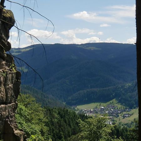 Ferienwohnung Uli Schätzle Hornberg Exterior foto