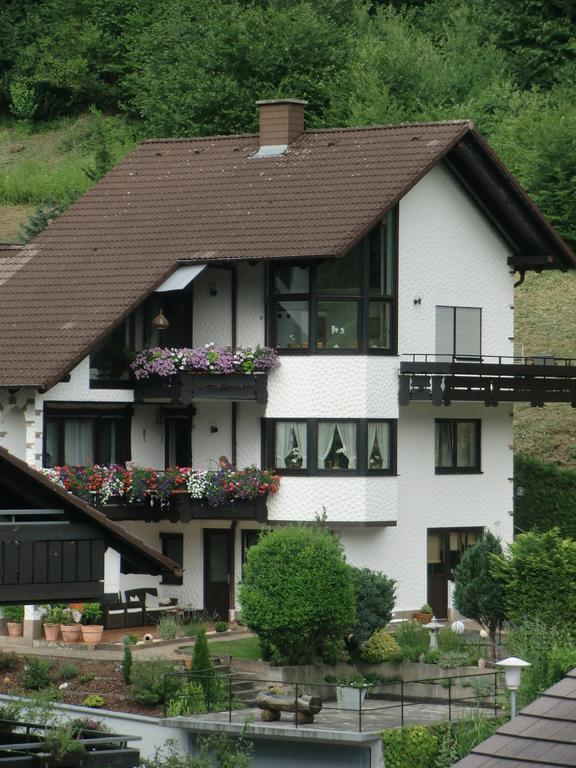 Ferienwohnung Uli Schätzle Hornberg Exterior foto