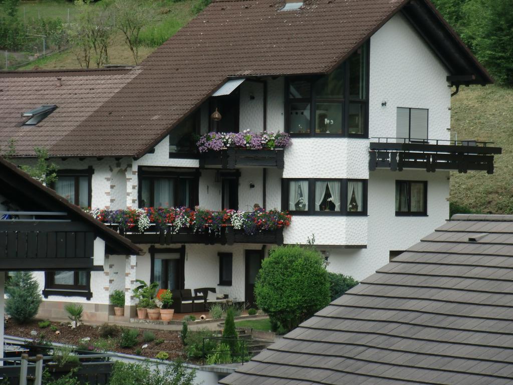 Ferienwohnung Uli Schätzle Hornberg Exterior foto